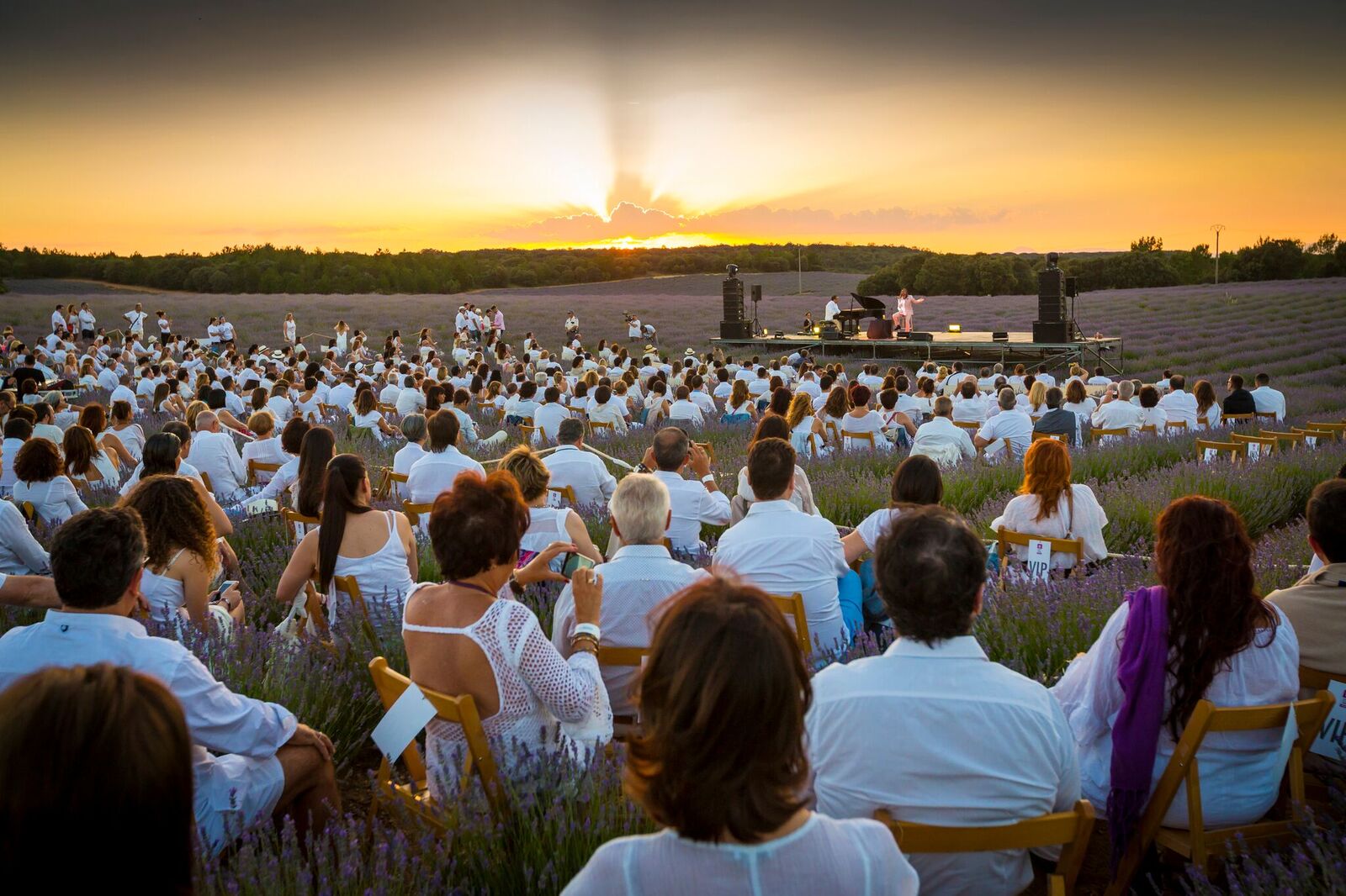 Festival de la Lavanda 2018 Festival de la Lavanda 2018
